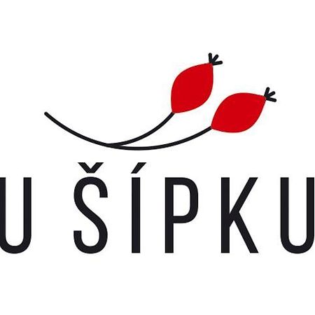 Dum U Sipku Hotel Krasna Lipa Ngoại thất bức ảnh